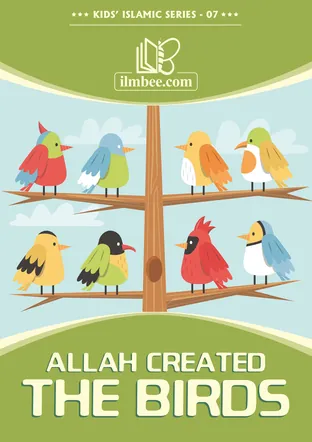 Cover of Allah Created the Birds, ilmbee Series 01 book 07