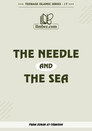 Cover of The Needle and the Sea, Teenage Islamic Series book 17